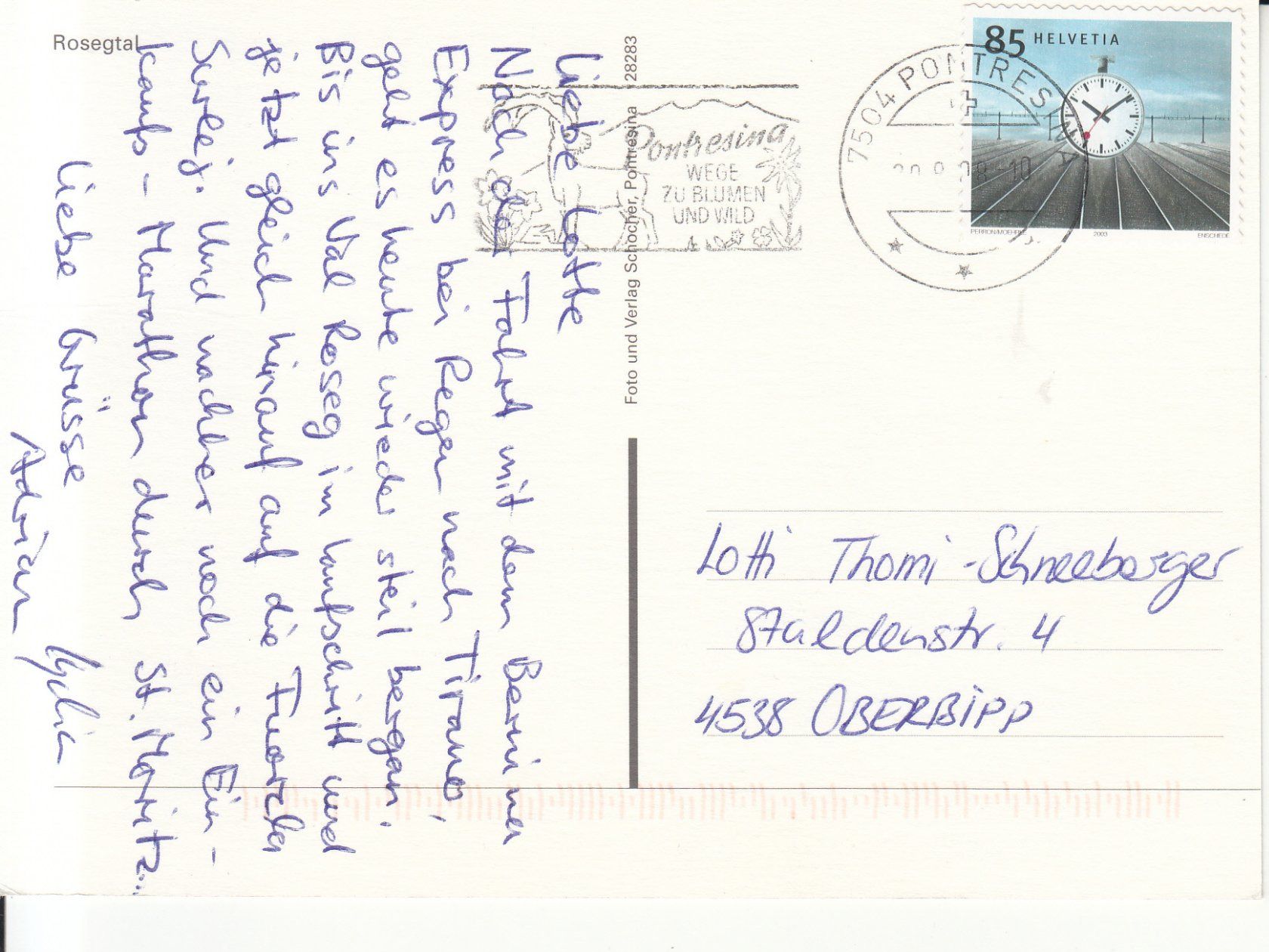 Cartoline postali: Rosegtal 2008 – Usato da Bürglen TG venduto da StampGraf 1