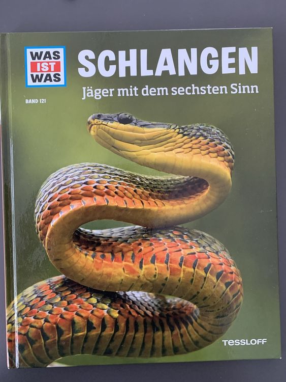Schlangen mit Buch | Kaufen auf Ricardo