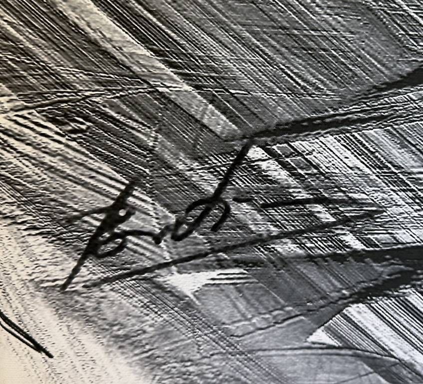 Foto & Immagini: Wandbild – Usato da Gisikon venduto da Sterena 1