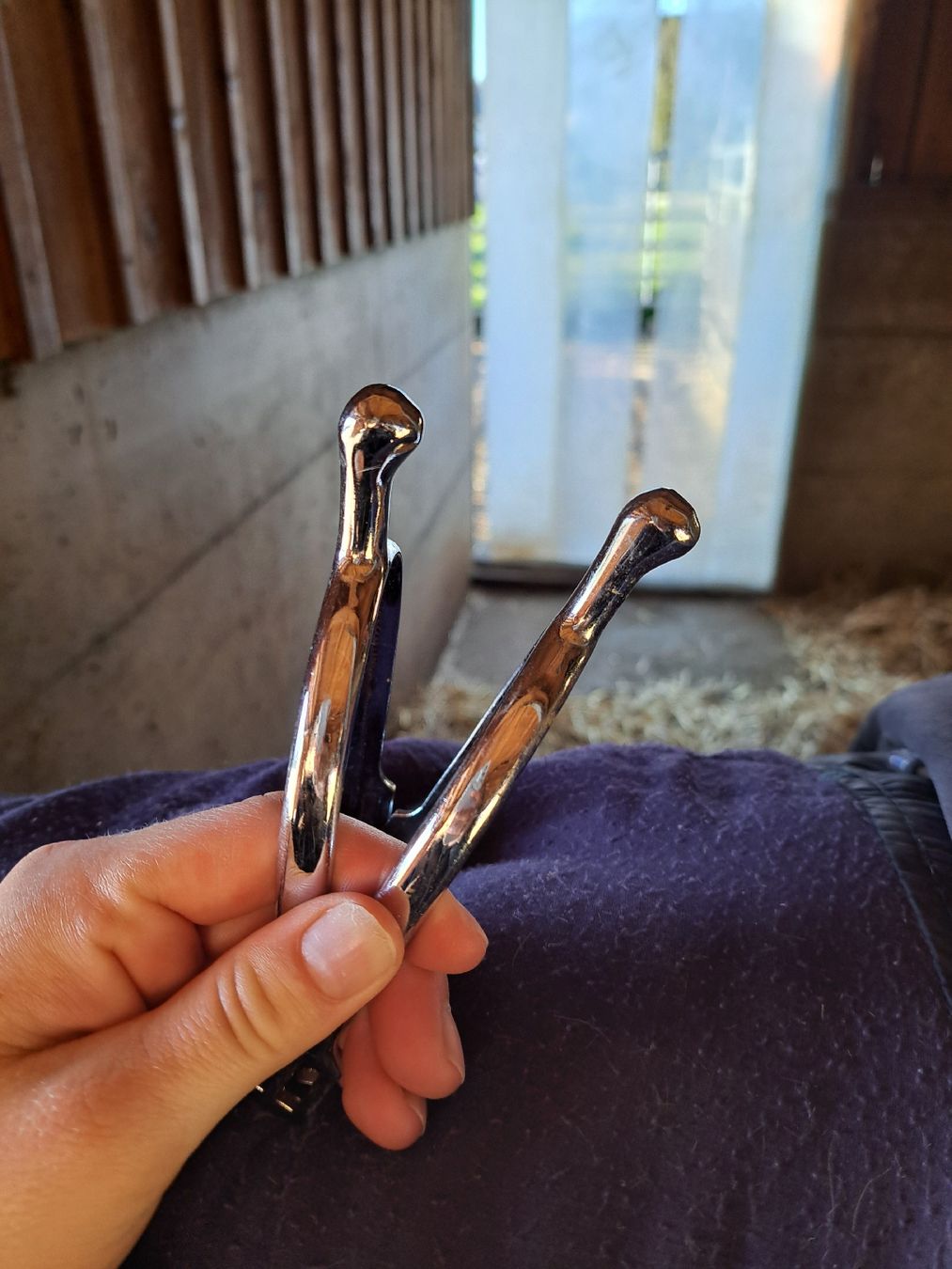 Selle & Accessori: Knopfsporen (30mm) – Usato da Seengen venduto da alexandra.weber 1