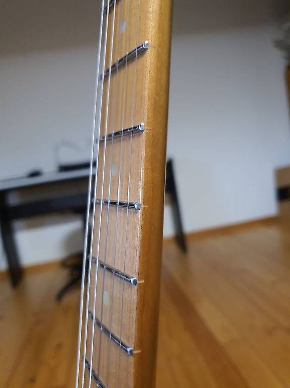Strumenti musicali: Shijie Custom Guitar STE Serie – Usato da Neunkirch venduto da Oli31 1