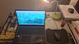 Die Maus von Logitech ist kabelgebunden
