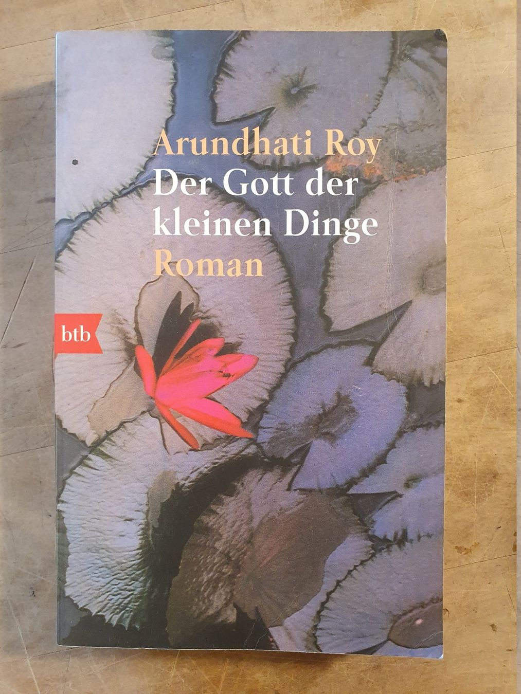 Libri: Der Gott der kleinen Dinge Arundhati roy BTB – Usato da Zürich venduto da loosebone