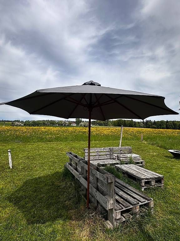 Ombrelloni: Sonnenschirm – Usato da Homburg venduto da lara.h. 3