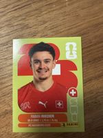 Panini Fifa SUI 12