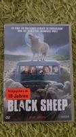 Black Sheep