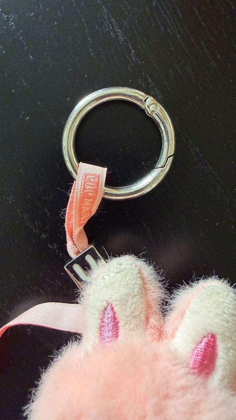 Pop Mart Schlüsselanhänger & - bänder: Labubu Keychain – Gebraucht aus Zürich von pre_vy7t 2