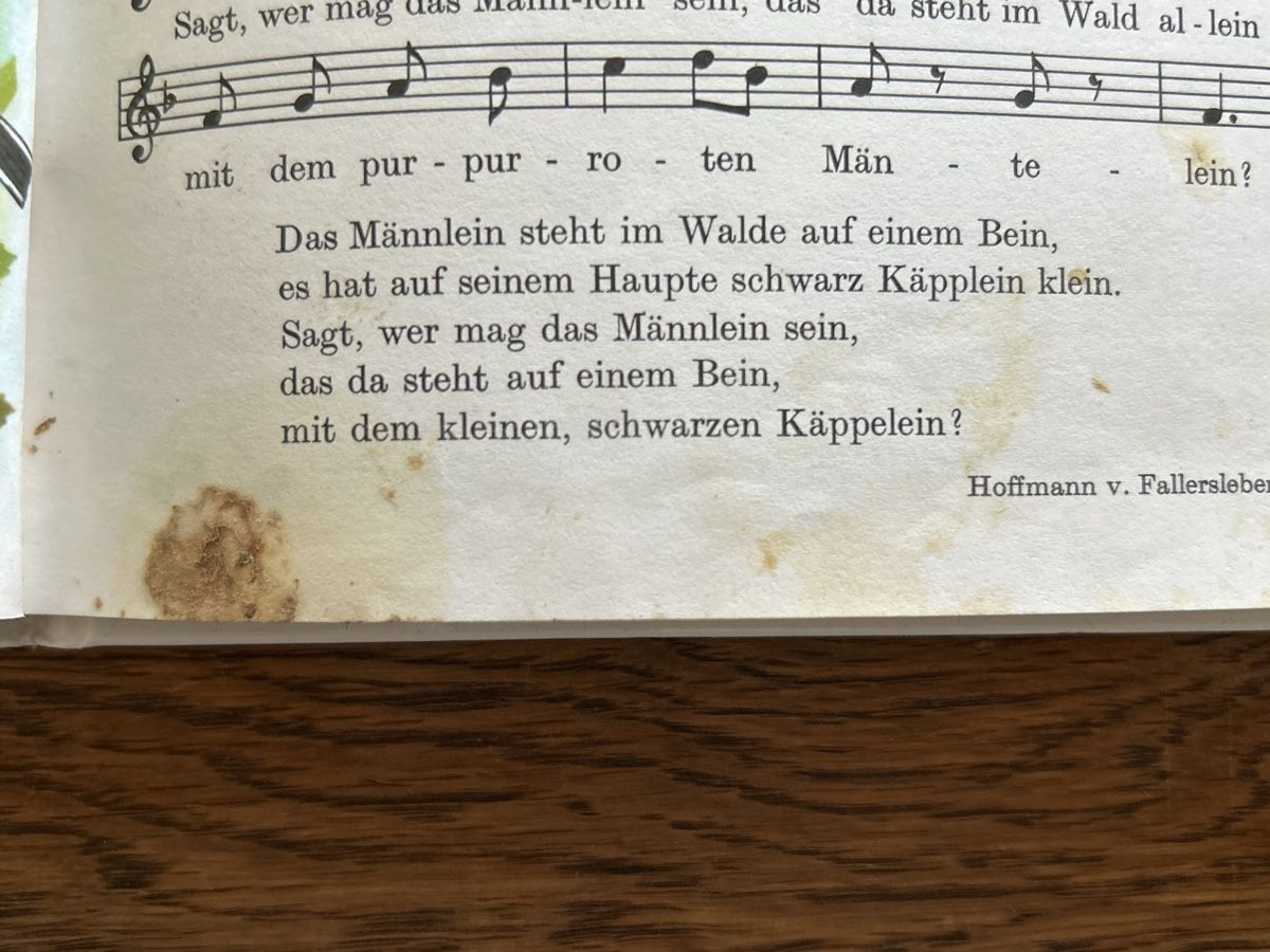 Libri: Chömed Chinde, mir wänd singe Edition Hug 10120 – Usato da Wolhusen venduto da eve_m6cg 6