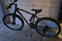 Fahrrad Focus