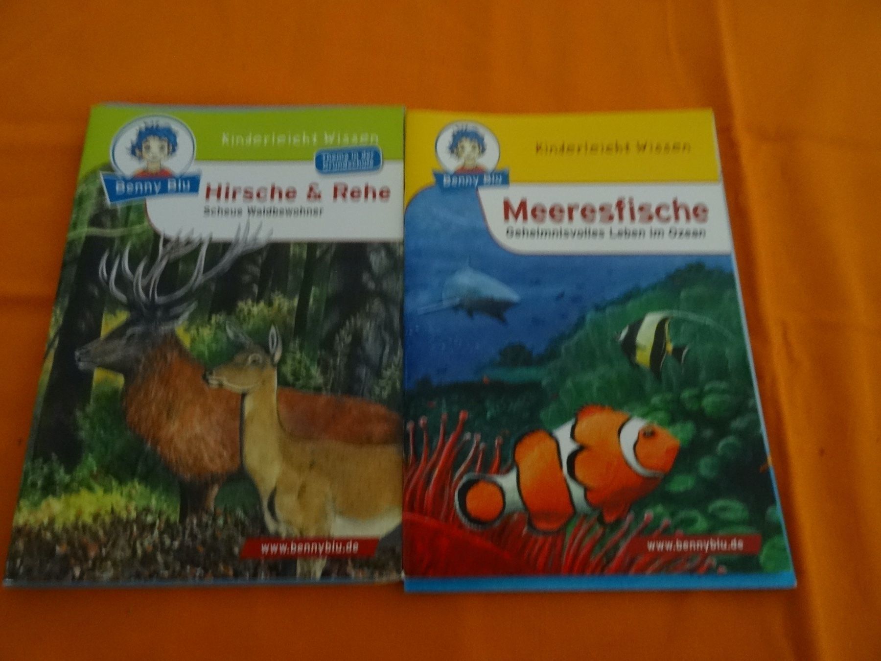 Libri: 5 kleine Kinderbüchlein – Nuovo (secondo la descrizione) da Allenwinden venduto da Obalu 1