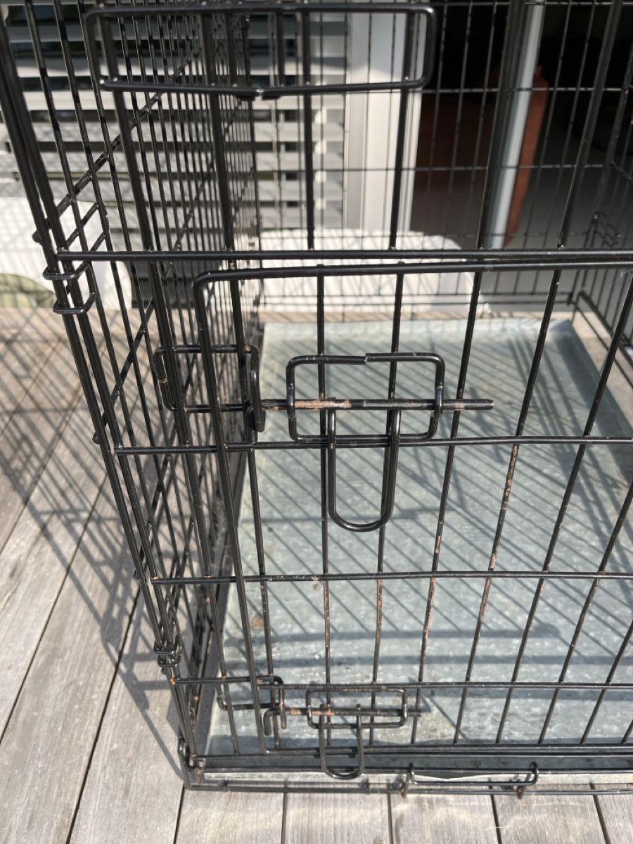 Gabbie, trasporto & Sicurezza: Bench für Kleinhund – Usato da Unterseen venduto da jkswiss 2