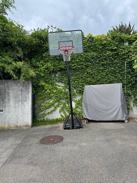 Basketballkörbe: Basketballkorb  – Gebraucht aus Wohlen bei Bern von stefanhonegger 1