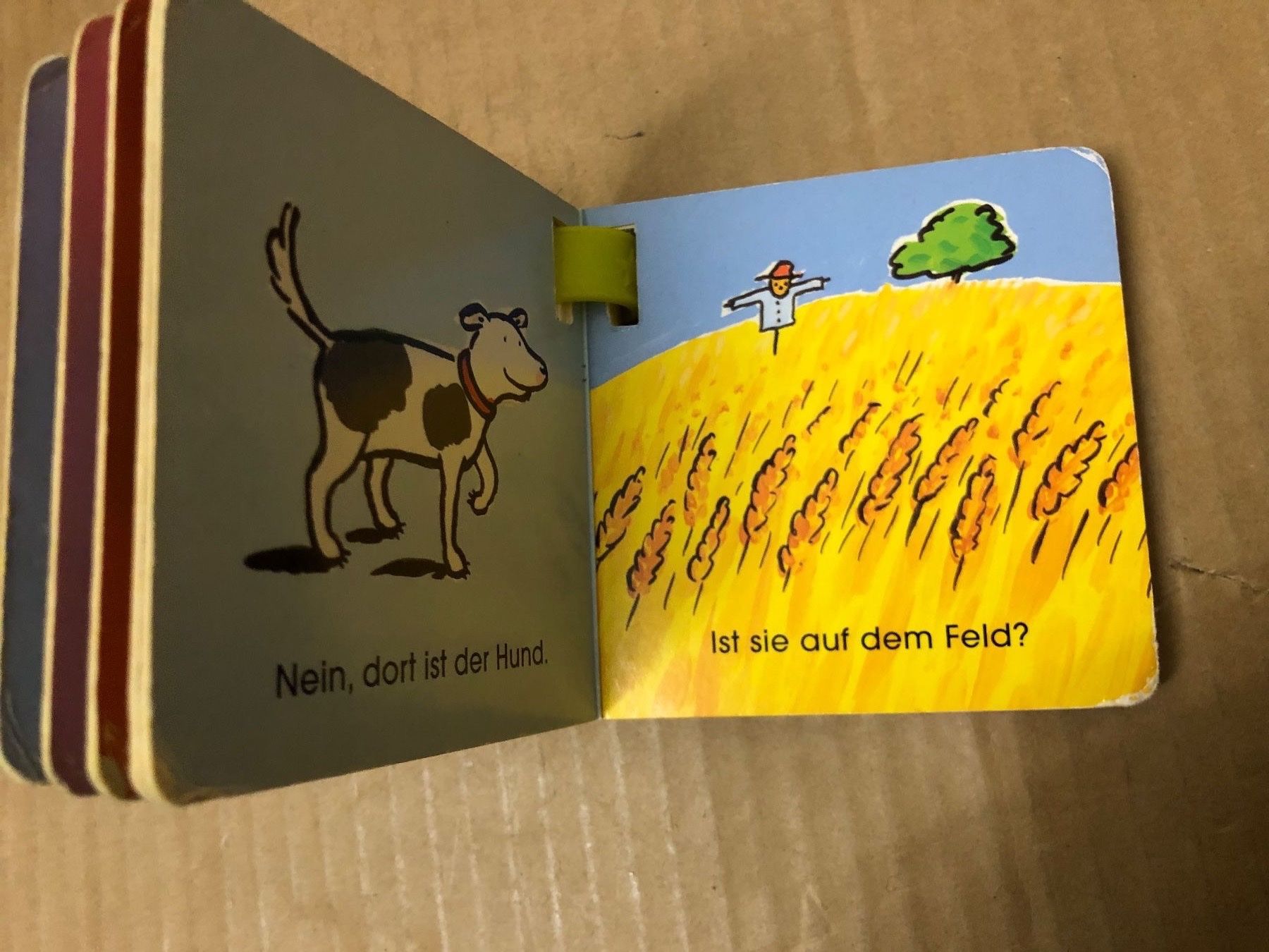 Libri: Mein Buggy Buch (Schäfchen) – Usato da Eschlikon TG venduto da RamonaSt 3