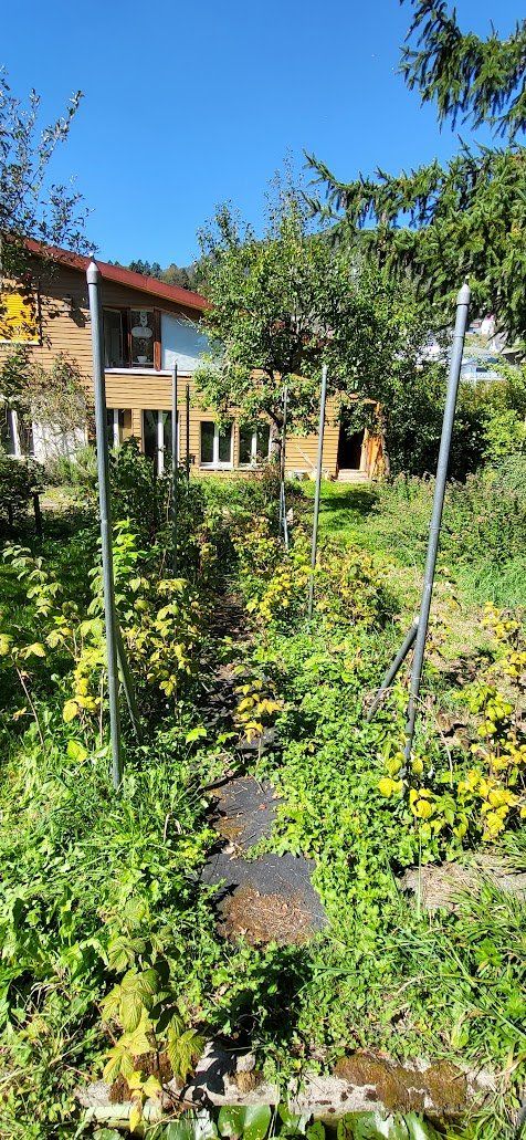 Autres décorations pour le jardin: Spalier – D'occasion à Rüttenen par Ediholz