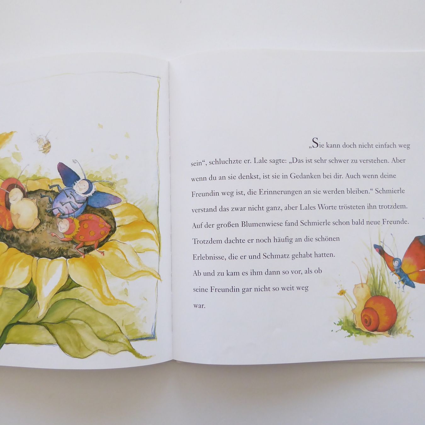 Libri: Abschied von der kleinen Raupe – Usato da Basel venduto da Kunterbunt12 4