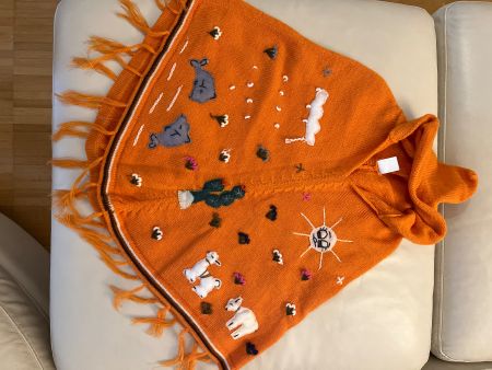 Warmes südamerikanischen pulli