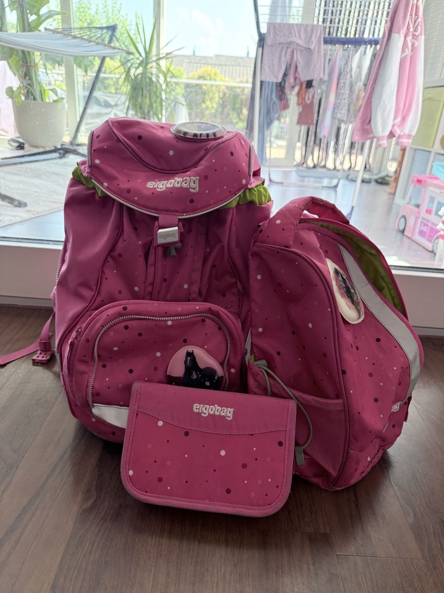 Ergobag Sacs & sacs à dos: Schulthek Ergobag  – D'occasion à Beromünster par SteKras 3