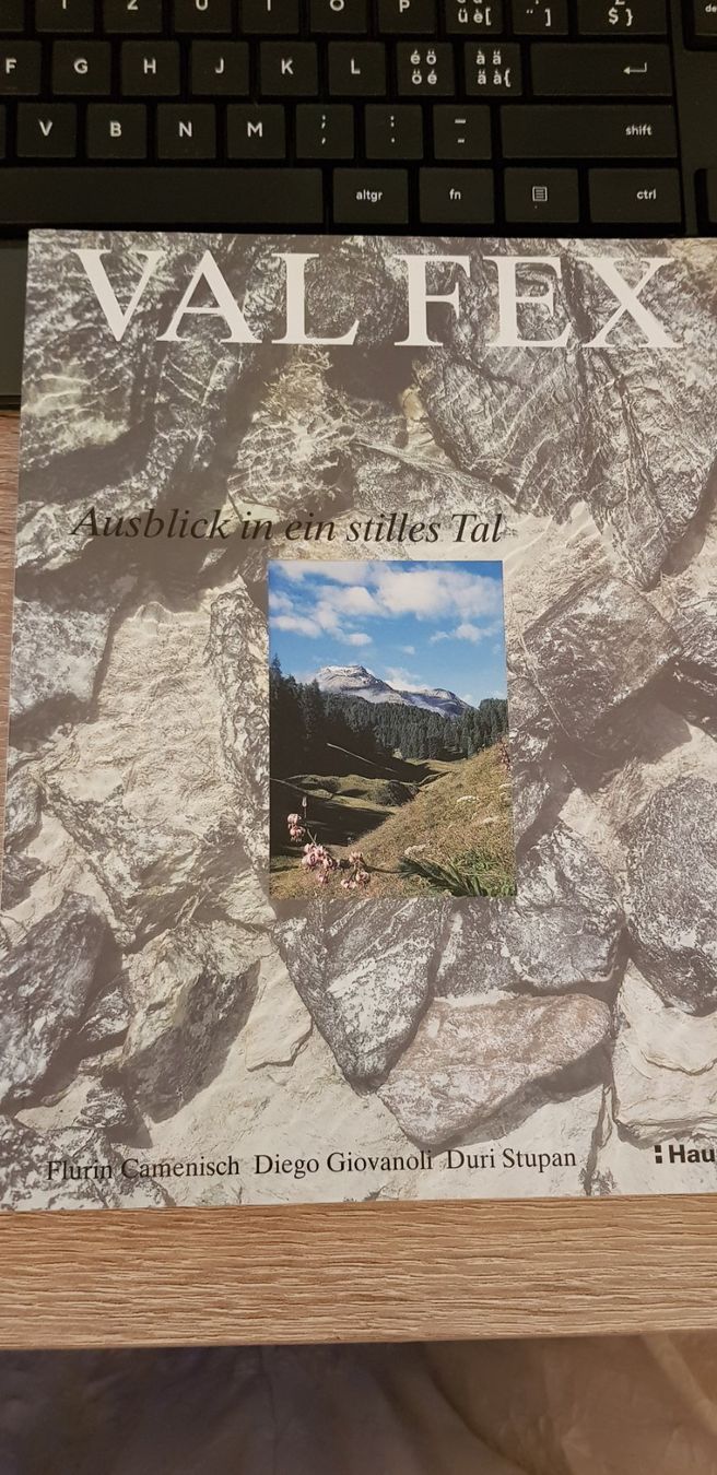 Libri: Val Fex: Ausblick in ein stilles Tal – Nuovo (secondo la descrizione) da Uster venduto da Astral