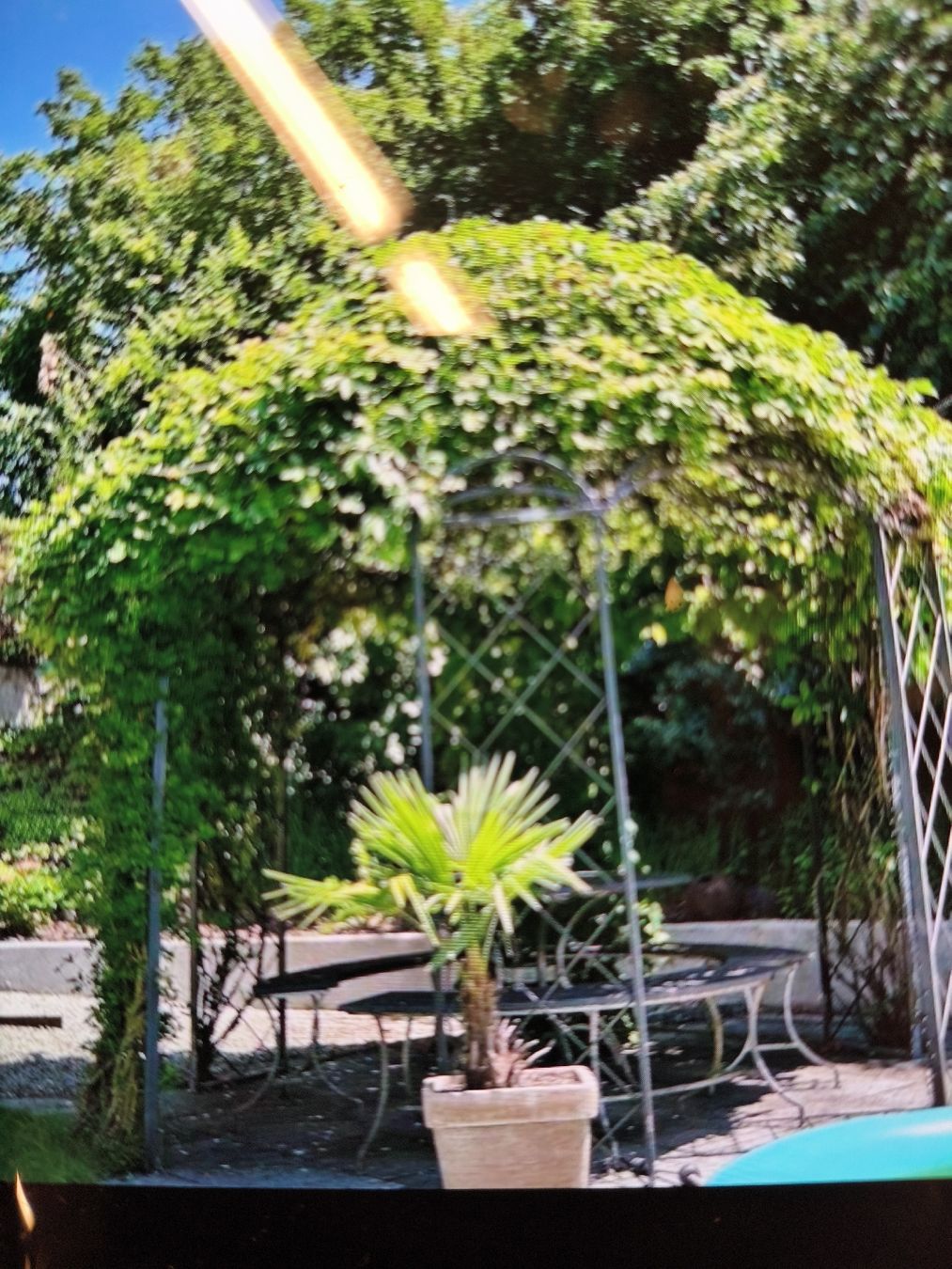Casette da giardino & serre: Garten Pavillion – Usato da Zwingen venduto da inf_2blh 3
