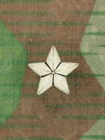 Stern Ord. 1940 für Kragenpatte, Silber