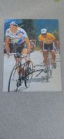 Autogramm Tony  Rominger