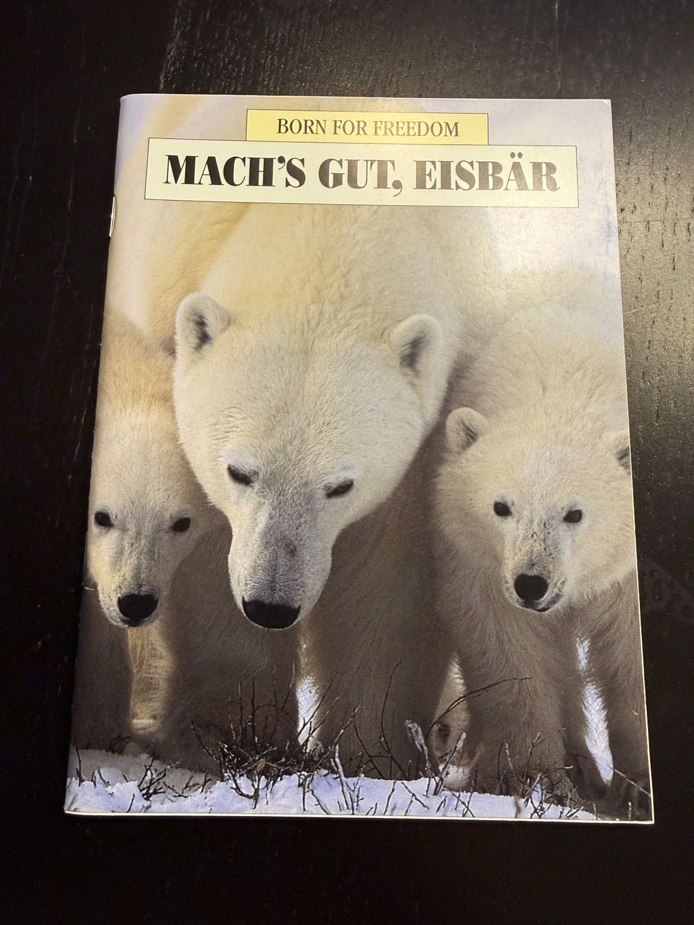 Libri: Mach's gut, Eisbär! Ein wunderschönes Kinderbuch. Top! – Usato da Erstfeld venduto da Mario_boe0