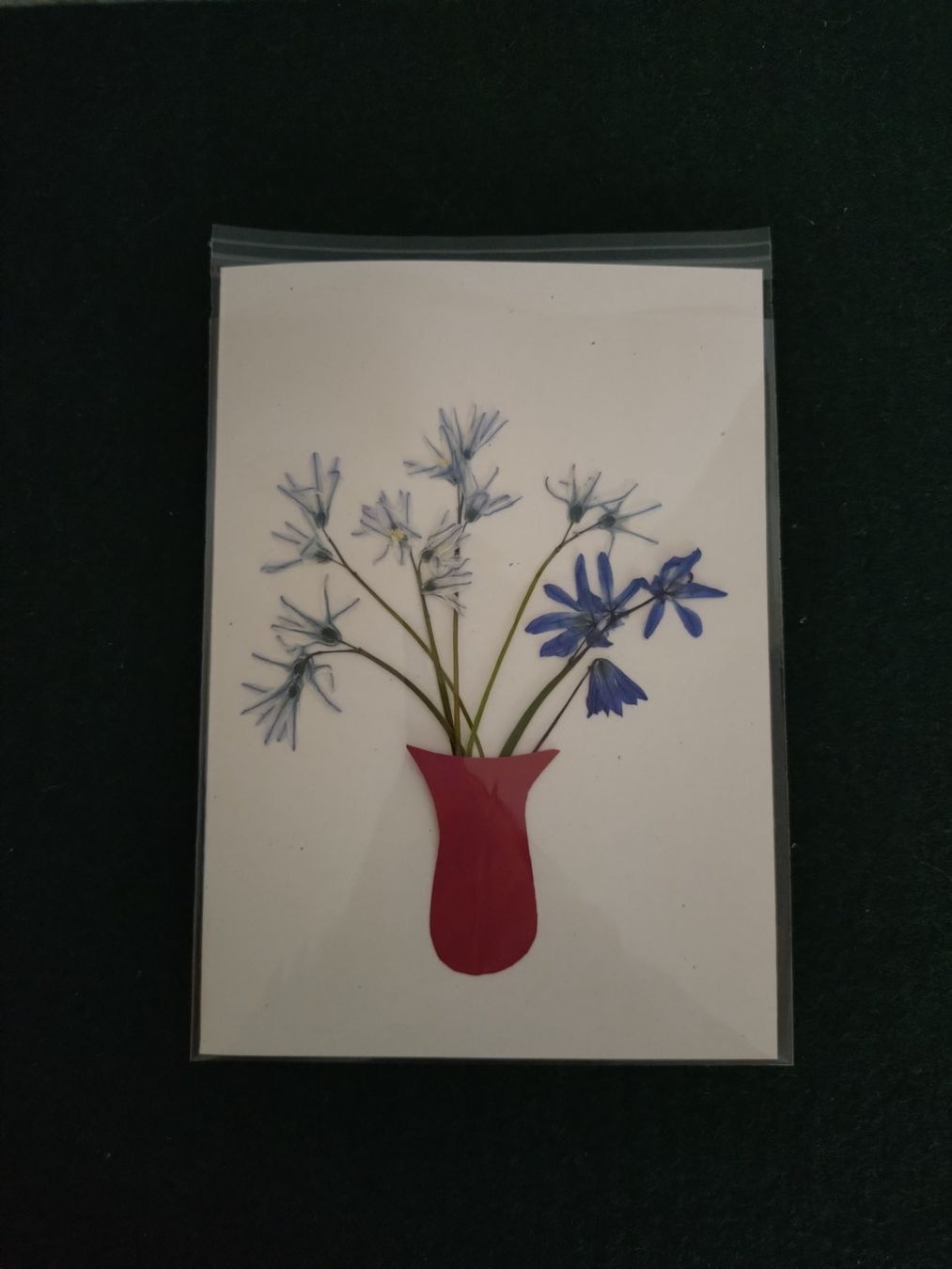 Cartoline: Grusskarte mit echten Blüten – Nuovo e nell'imballaggio originale da Kilchberg ZH venduto da chr_g5kn 2