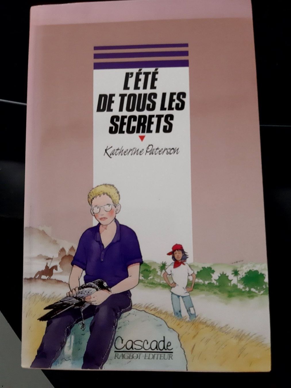 Libri: L'ete de tous les secrets – Usato da Le locle venduto da juliensaran