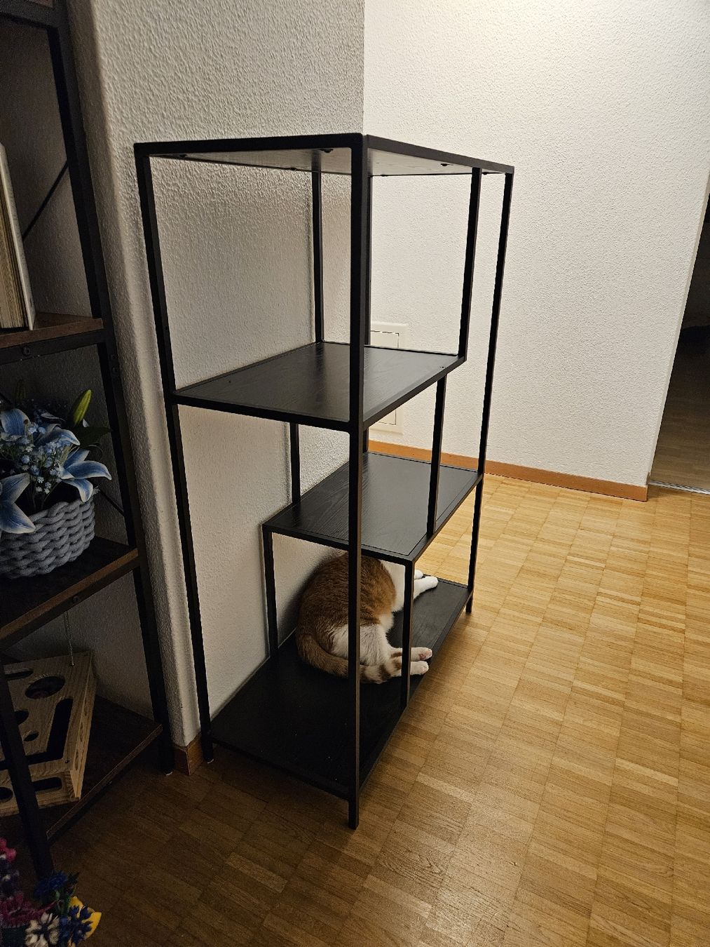 Regale: Regal Coogee VII – Gebraucht aus Volketswil von Alija.M 2