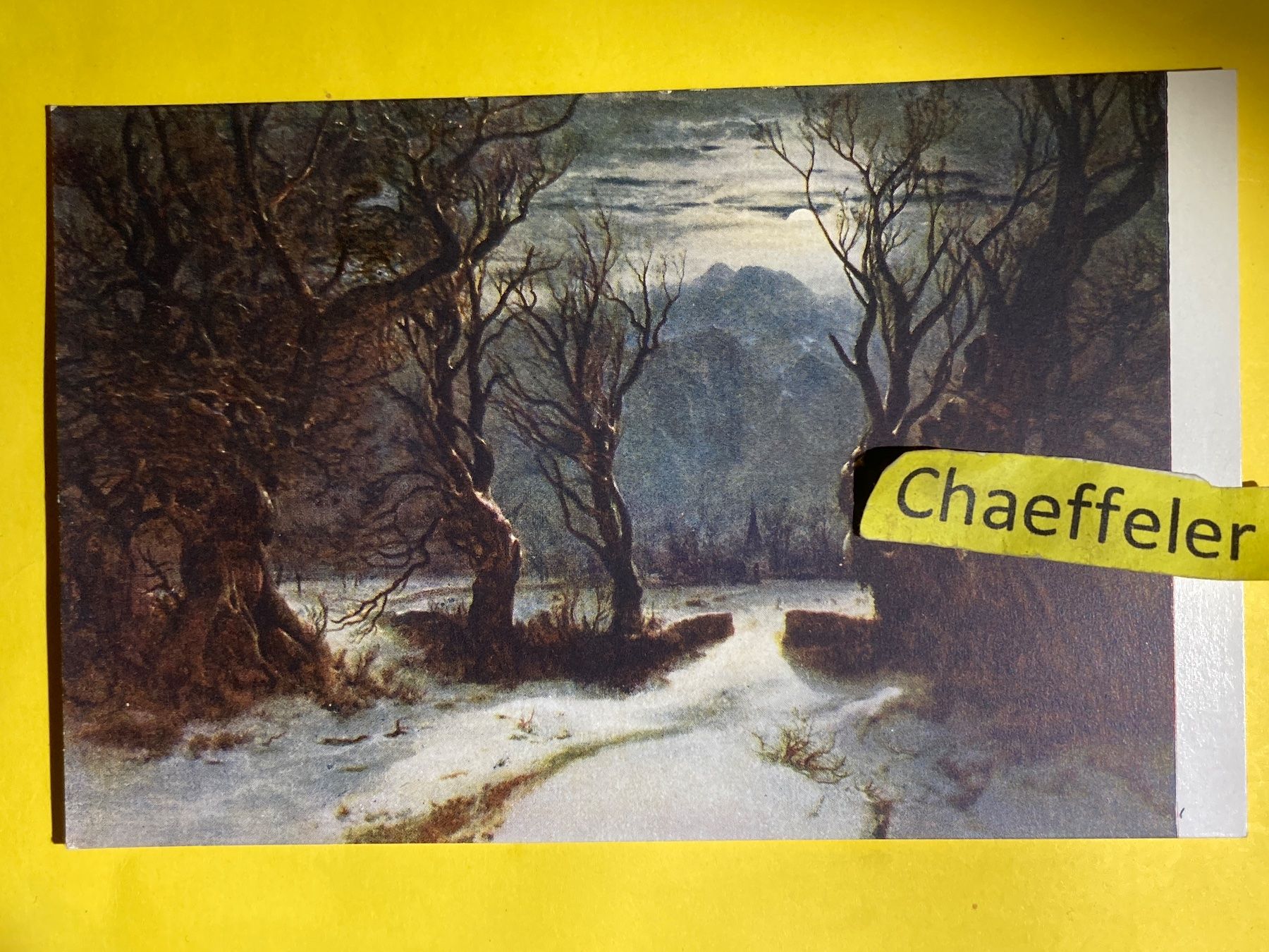 Cartoline postali: Kunstkarte Pro Juventute – Usato da Zürich venduto da Chaeffeler