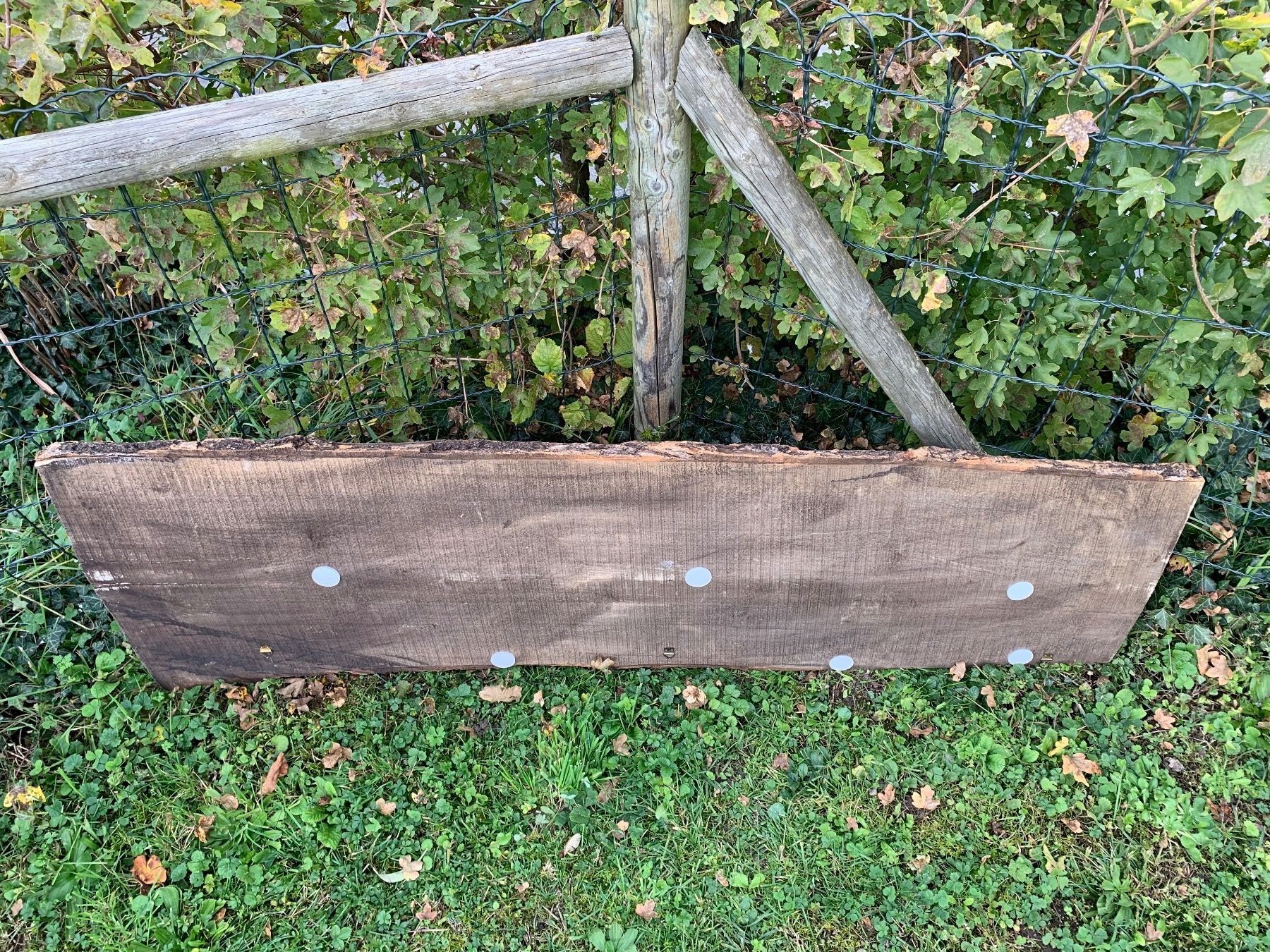 Carrozze: schönes grosses Relief Holzbild – Usato da Feldbach venduto da Olive1 8