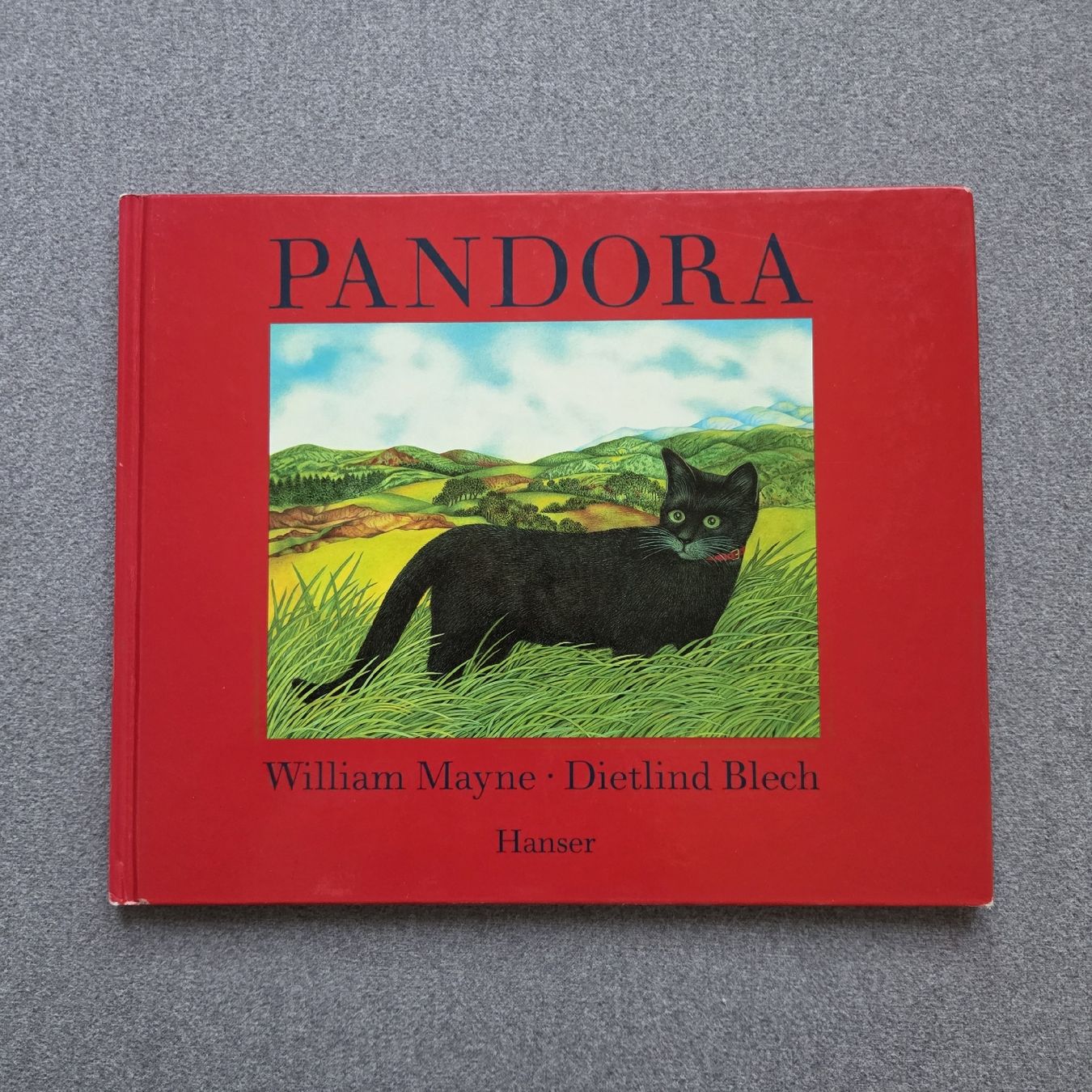 Bücher: Pandora Kinderbuch – Gebraucht aus St.Gallen von Its.eli035