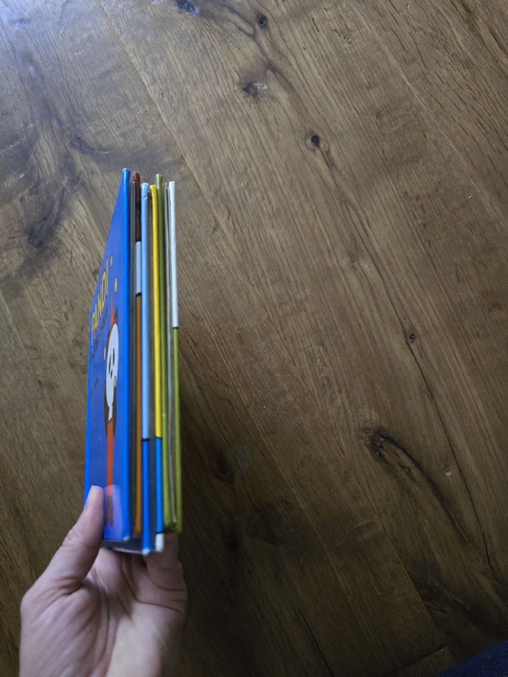 Libri: pandi bücher set – Usato da Wittenbach venduto da Tigerlili 2