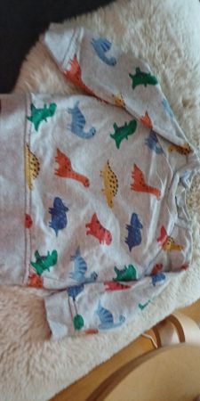 Cooles Dino-Shirt, Grösse 86, für kleine Entdecker!