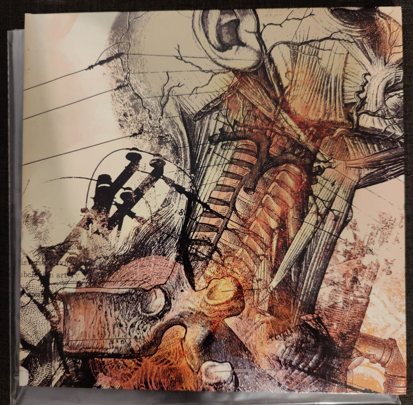Dischi in vinile: Hacride - Lazarus LP – Usato da Rafz venduto da adrenalynn