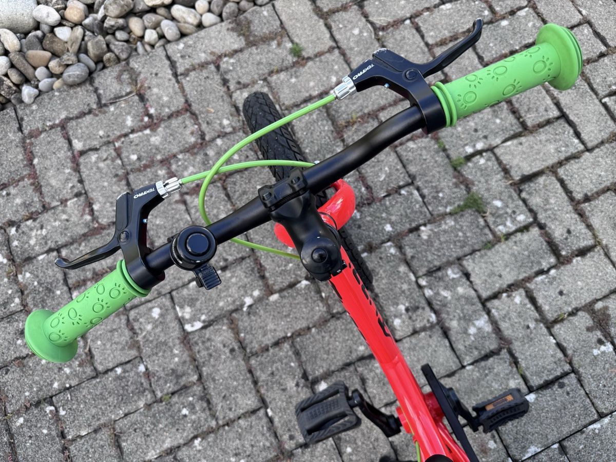 Flizzi Velos: FLiZZi 16 Riemen – Gebraucht aus Lyss von ka_stein 5