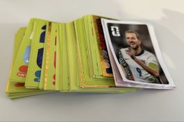 84 Panini-Bilder United Edition