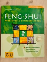 Feng Shui / Kraftquelle Zimmerpflanzen