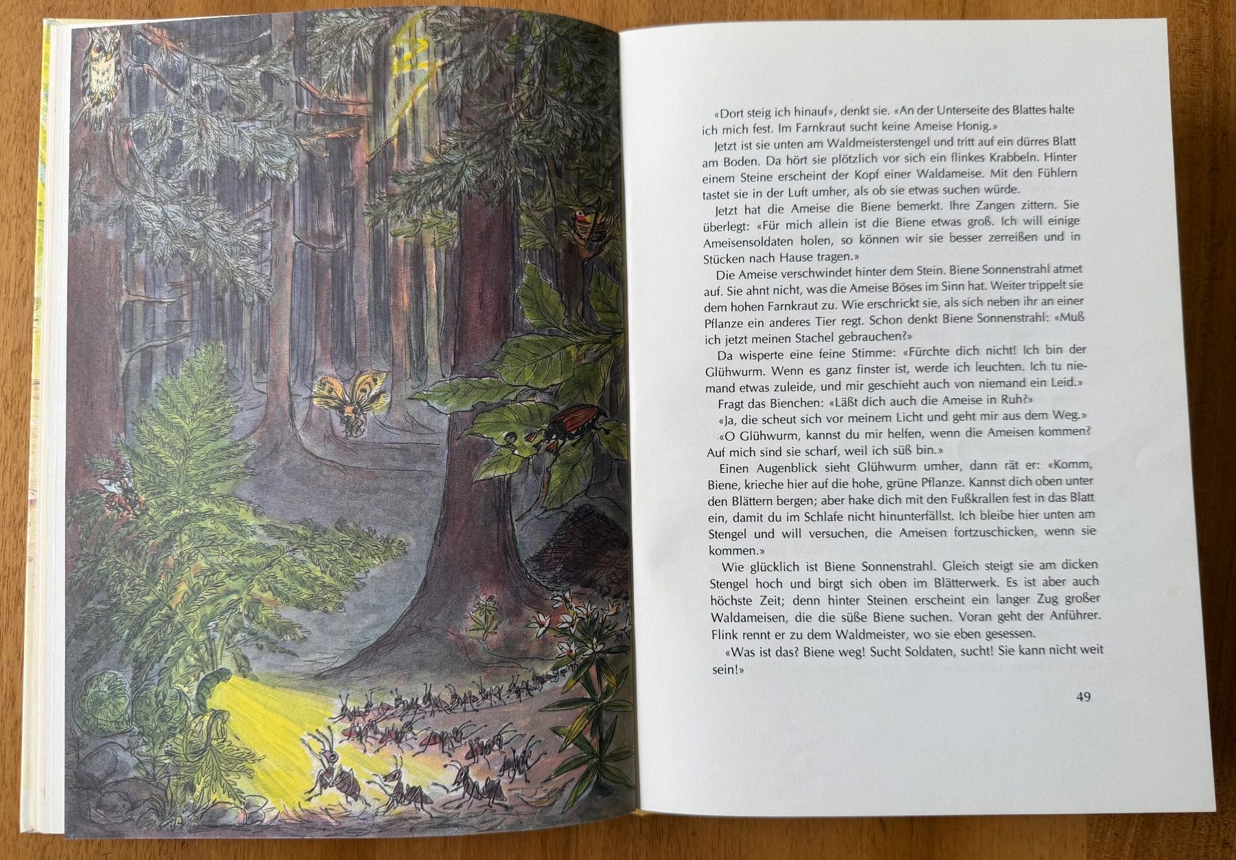 Libri: Bilderbuch. KLEINE BIENE SONNENSTRAHL – Usato da Starrkirch-Wil venduto da heidiml 2