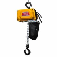 Elektrischer Kettenzug, Seilzug 150 Kg