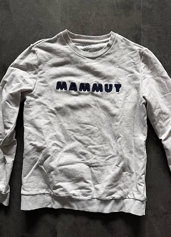 Maglioni & Felpe: Mammut Pullover Grau – Usato da Uetikon am See venduto da randag88