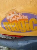 Poolroboter Dolphin Magic Maytronics gebraucht. Ohne Caddy