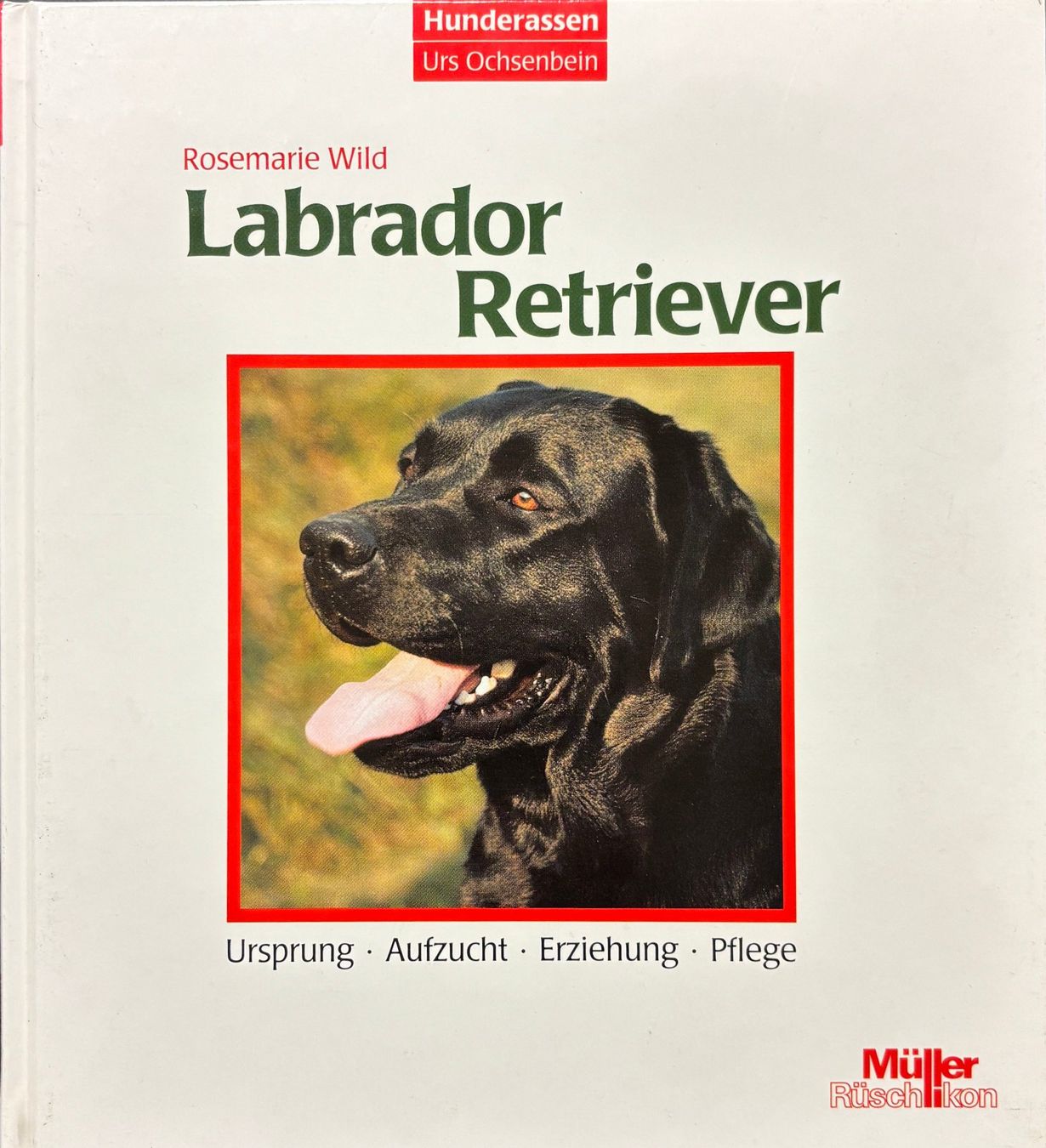 Libri: Labrador-Retriever – Nuovo (secondo la descrizione) da Sarnen venduto da Livres