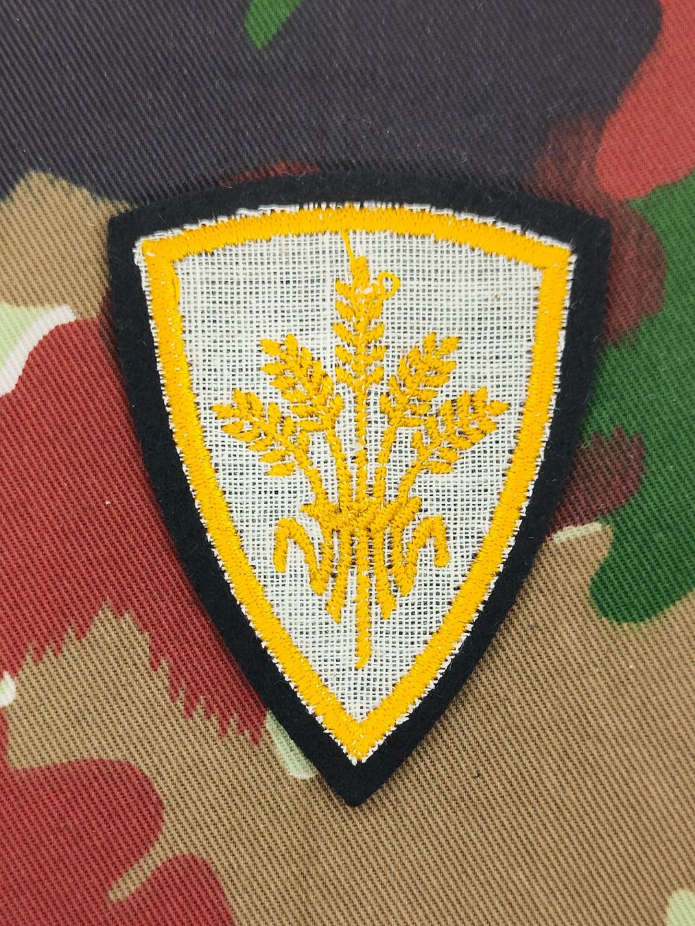 Schweizer Armee Placchette & Badge: Funktionsabzeichen Versorgung Ord. 1995 – Usato da Bauma venduto da SwissMilitaria 1