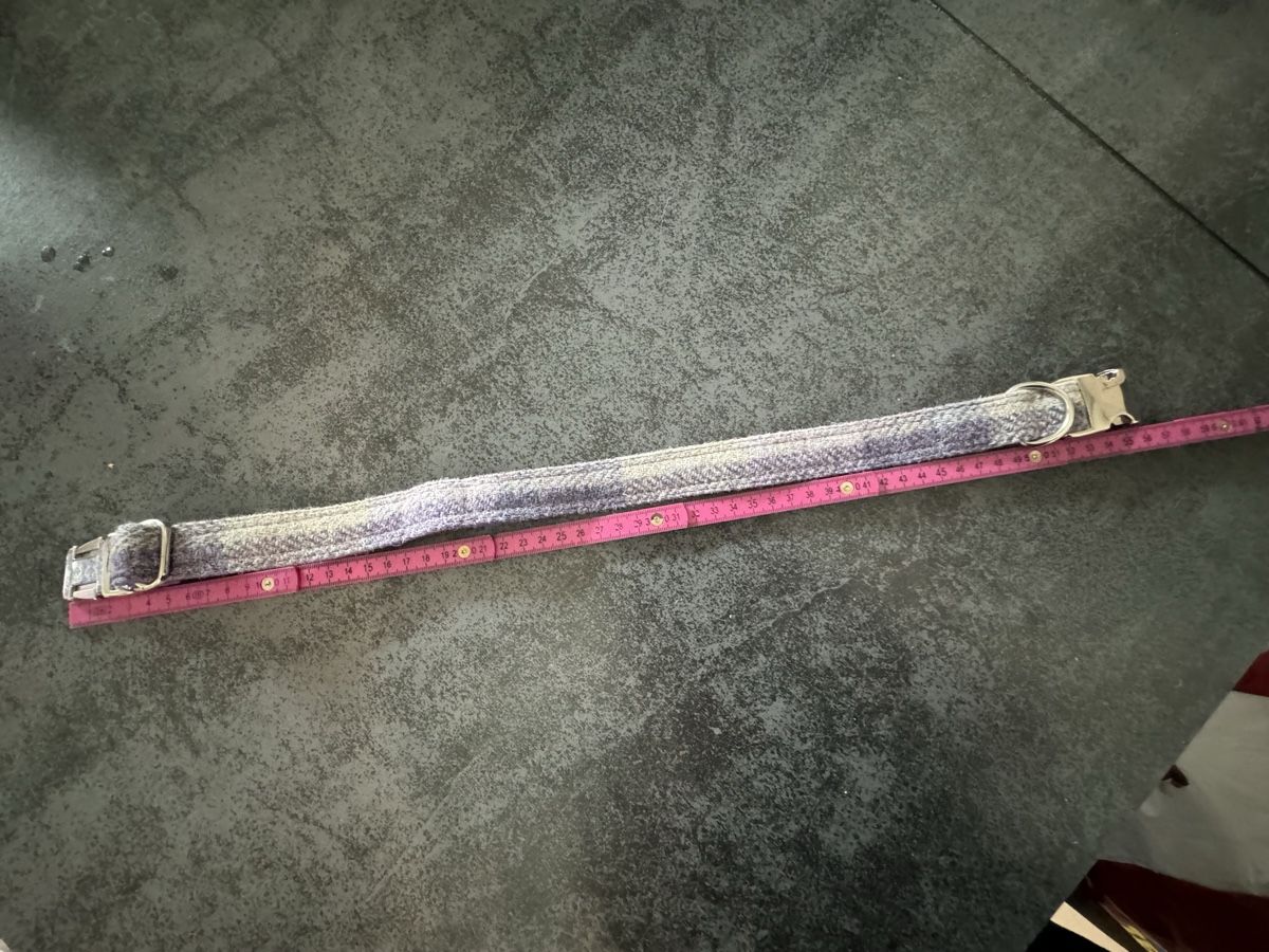 Guinzagli & Collari: Hundehalsband Violett/Silber – Nuovo e nell'imballaggio originale da Niederglatt ZH venduto da vul_v86c 3