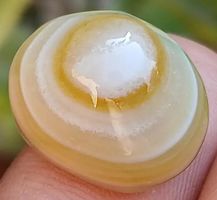 Cabochon L-4428 – Sulemani Hakik Auge Achat 19x15mm 28 Karat
