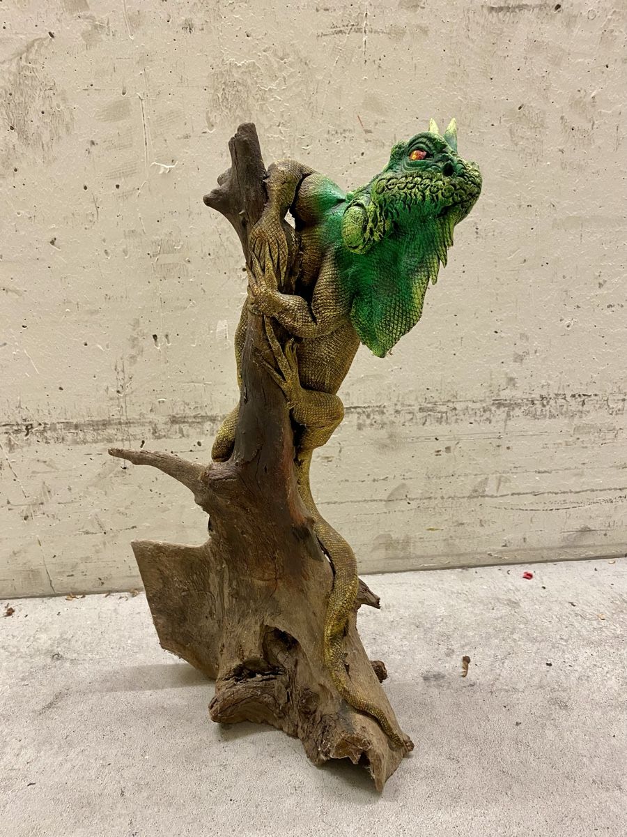 Skulpturen & Statuen: Leguan auf Treibholz – Gebraucht aus Rickenbach ZH von Der-Insider