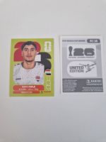 Panini Sticker IRQ16