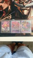 One Piece Karten Set Donquixote Rosinante Doflamingo