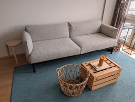Ikea Äpplaryd 3er Sofa in hellgrau (NP 1099.-)